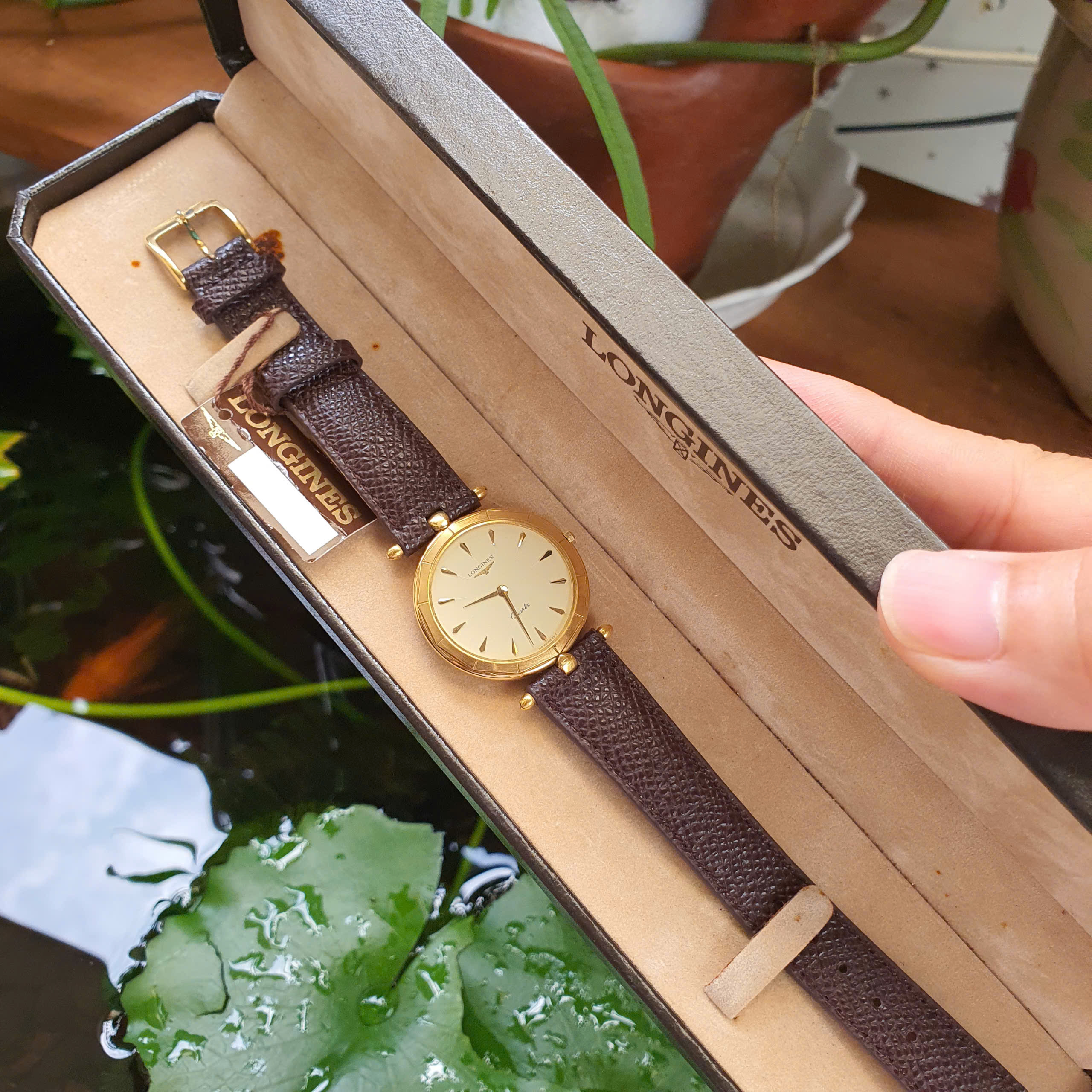 Longines Dress Watch kỉ niệm (Vintage) thuộc thập niên 1980 - Ảnh 2